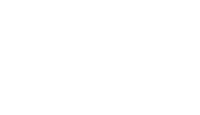 logo weiss1